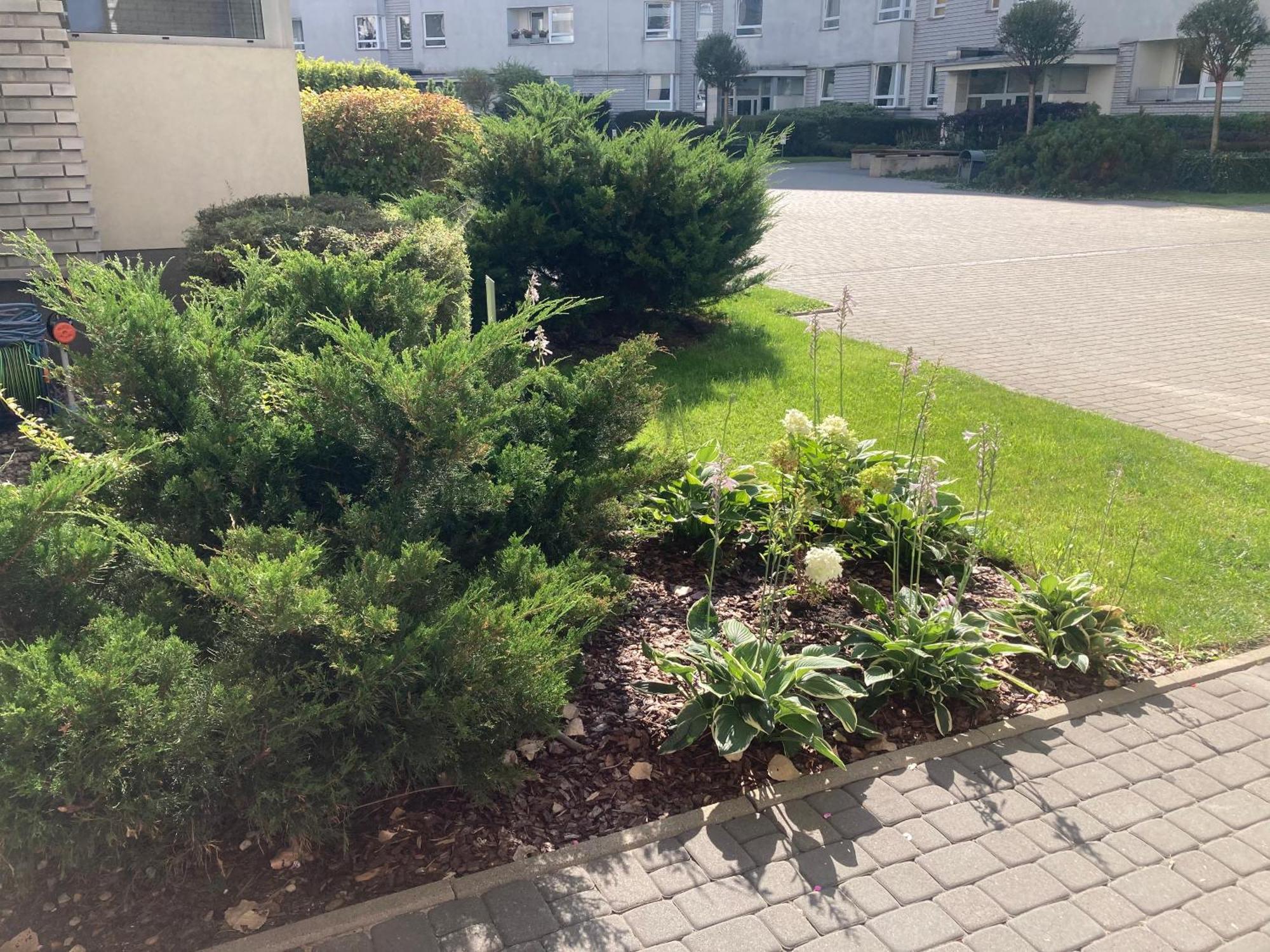 Przestronny Apartament Na Dolnej وارسو المظهر الخارجي الصورة